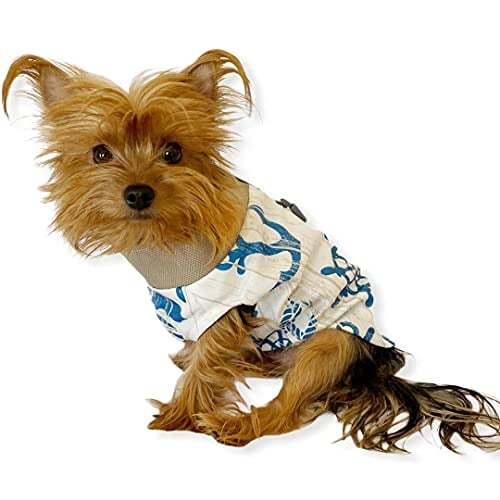 Blue Nautica Su itici Yağmurluk Köpek Yağmurluğu KARIŞIK ÇOK RENKLİ M