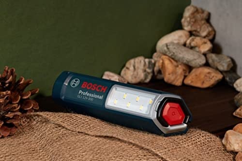 Bosch Professional pil lamba GLi 12 V-300 (pil, karton, 12 Volt, ışık akımı: 300 Lümen)