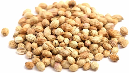 Botaniksan Kişniş 80gr