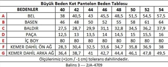 Büyük Beden Kadın Jean Gri