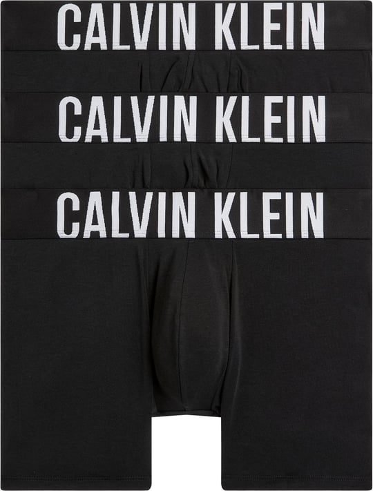 Calvin Klein BOXER BRIEF 3PK Boxer Erkek