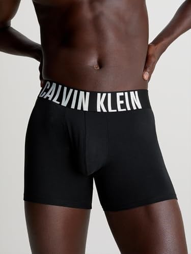 Calvin Klein BOXER BRIEF 3PK Boxer Erkek
