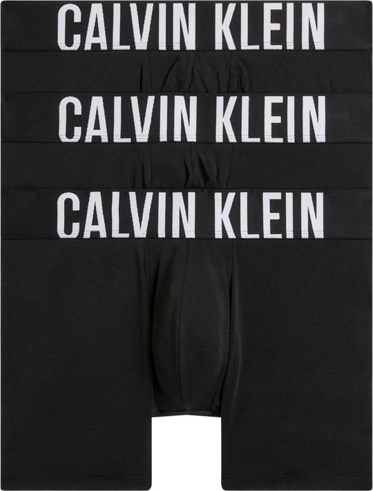 Calvin Klein BOXER BRIEF 3PK Boxer Erkek