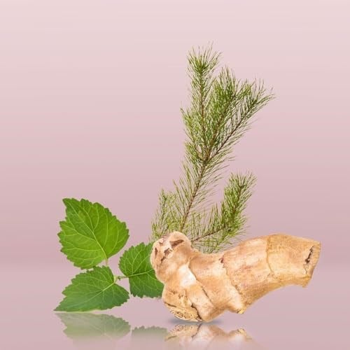 Calvin Klein Euphoria Men Deodorant Stick 75Gr Erkek Deo Stick 1 Paket (1 X 75 G)