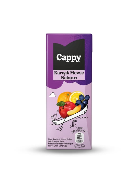 Cappy Karışık Meyve Nektarı Karton Kutu 27x200 ml