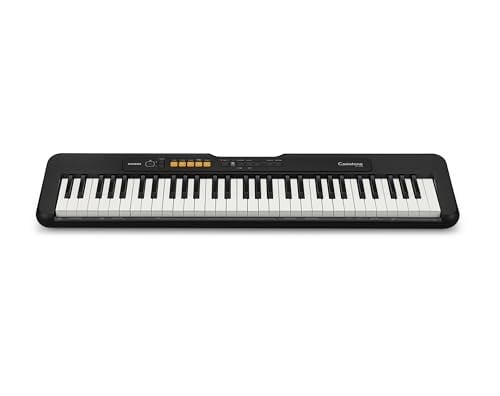 Casio CT-S100 61 TUŞLU ORG