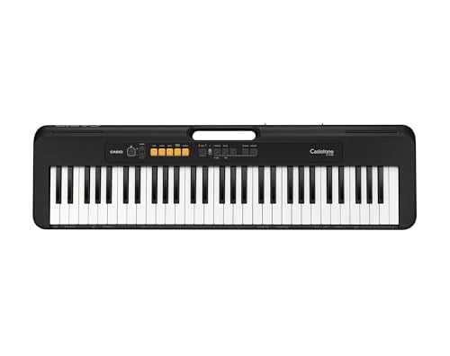 Casio CT-S100 61 TUŞLU ORG