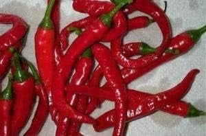 Cayenne Biber Tohumu – 25+ Tohum | Acı, Verimli ve Aromatik Kırmızı Biber Çeşidi | Saksı ve Bahçe Yetiştiriciliğine Uygun