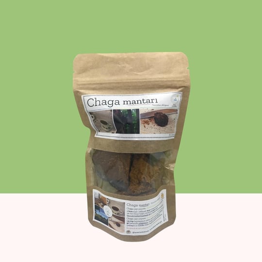 Chaga Mantarı 50 gr