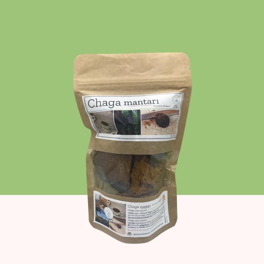 Chaga Mantarı 50 gr