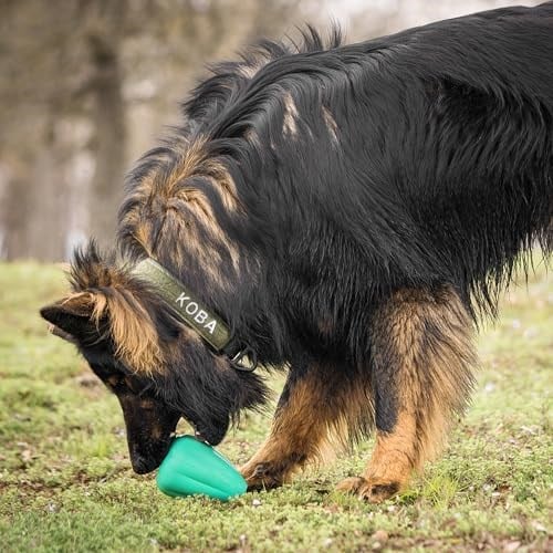 Chew King Premium Treat Köpek Oyuncağı, XL, Son Derece Dayanıklı, Doğal Kauçuk Oyuncak, 2li Paket - Seçenekler: X-Large - 2 paket, X-Large Pastırma Aromalı - 1 Paket...