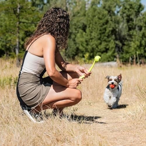 Chuckit! Air Fetch Ball Köpek Oyuncağı, Orta (6,4 cm çap), 9-27 kg köpekler için, 2li paket