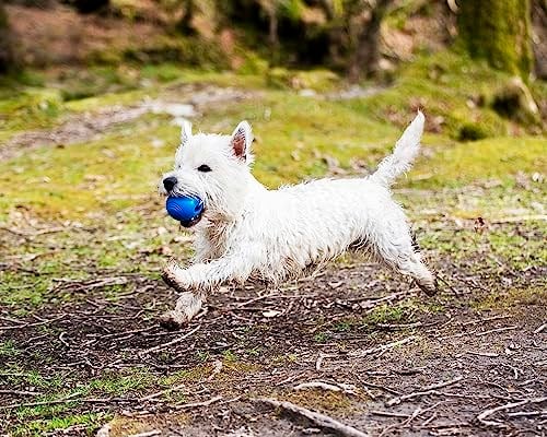 Chuckit! Crunch Ball Köpek Oyuncağı, Orta (2li Paket) - Seçenekler: Top, Tug, Medium (Pack of 2), Medium (Pack of 2) (2 paketi)...
