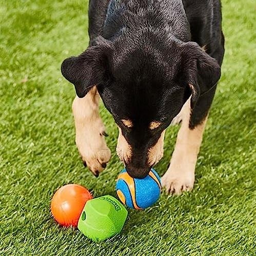 Chuckit! Fetch Medley 3lü Köpek Oyun Topu Seti – Strato Ball, Ultra Squeaker ve Erratic Ball - (M)