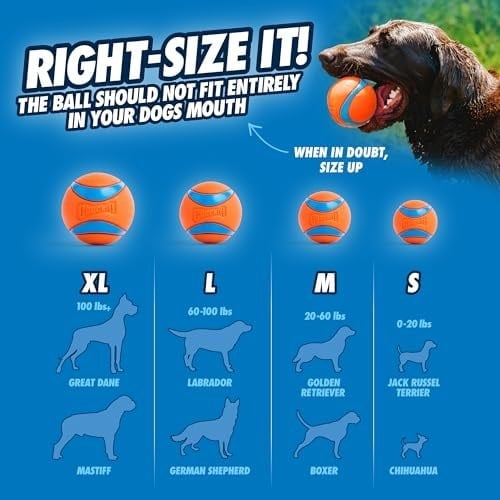 Chuckit! Fetch Medley Gen 3 (Ultra Ball, Fetch Ball, Rugged Ball) 3lü Köpek Oyun Topu Seti (Orta Boy)