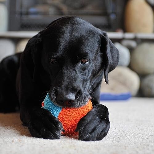 Chuckit! Indoor Shaker Eve Özel Yumuşak Köpek Oyuncağı