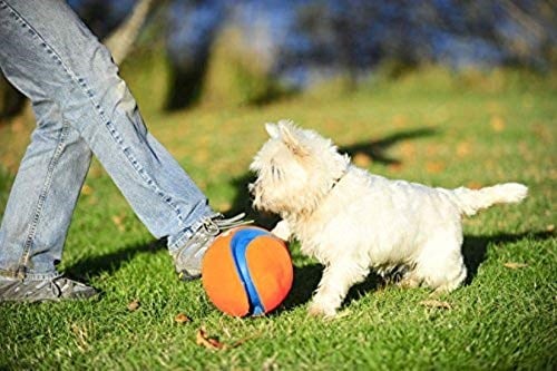 Chuckit! Kick Fetch Köpek Oyun Topu (Küçük Boy) - Bedenler: S, Small