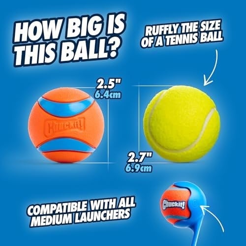 Chuckit! Ultra Ball Köpek Oyun Topu (Medium)
