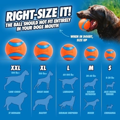 Chuckit! Ultra Ball Köpek Oyun Topu (Medium)