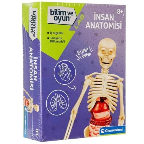 Clementoni - 64297 - İlk Keşiflerim - İnsan Anatomisi