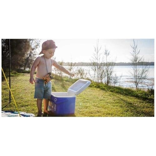 Coleman Starre Kühlbox, 16 QT Performance, Hochleistungs-Kühlbox, 15 l, Kühlt bis zu 1 Tag