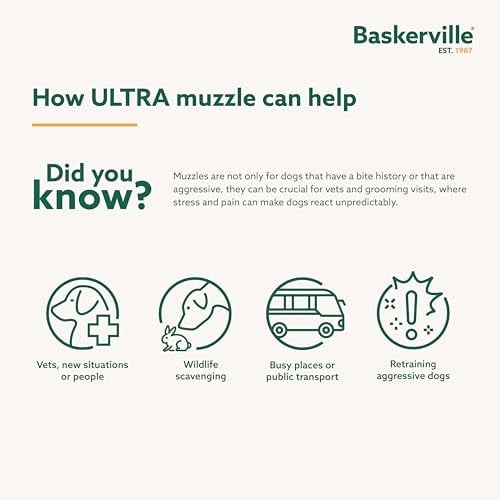 Company of Animals Baskerville Ultra Ağızlık, Boyut 1