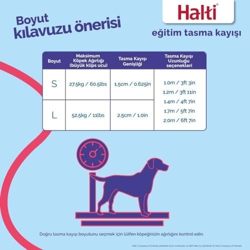 Company of Animals Halti Köpek Eğitim Kayışı, Küçük Boy Kırmızı, 2 m