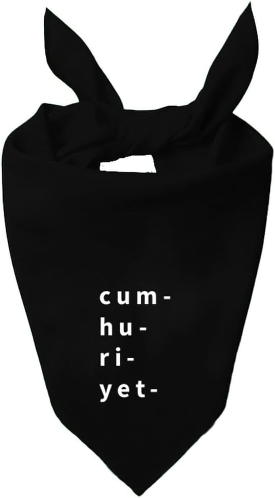 Cumhuriyet 100 Yıl Baskılı Fular