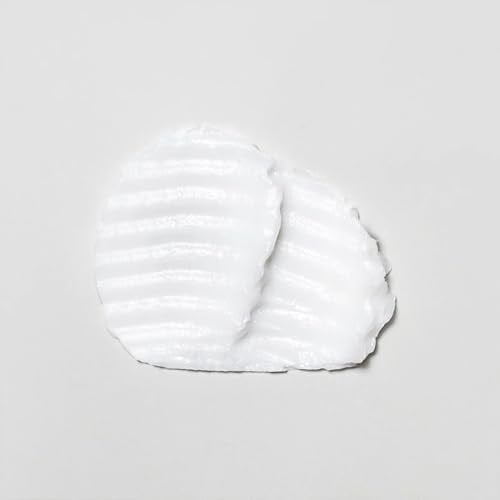 Davines OI Hair Butter 250ml 1 Paket (1 x 20 Adet)