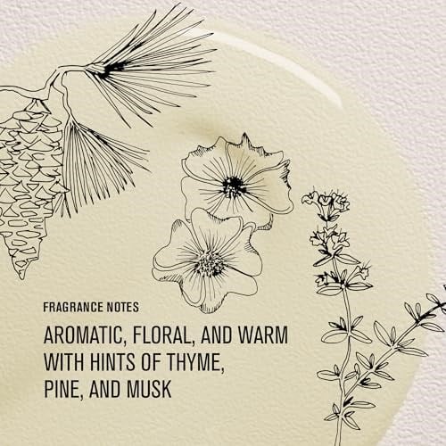 Davines OI/OIL Tüm Saç Tipleri İçin Bakım İksiri 50ml 1 Paket (1 x 54 Adet)