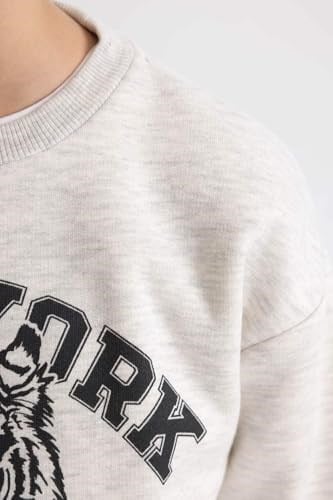 DeFacto B7822a8 Sweatshirt Erkek çocuk