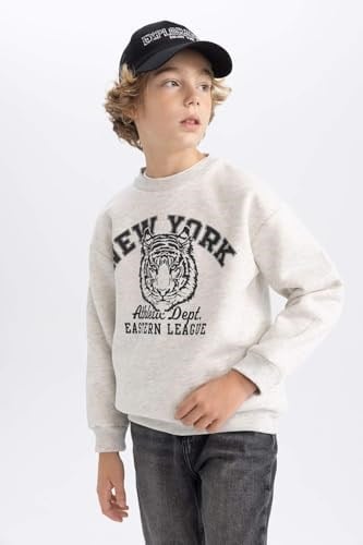 DeFacto B7822a8 Sweatshirt Erkek çocuk