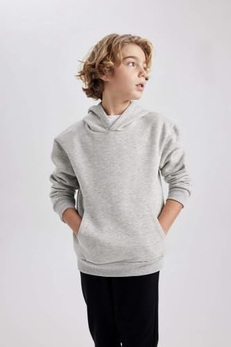DeFacto Erkek Çocuk Regular Fit Kapüşonlu Sweatshirt