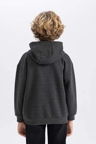 DeFacto Erkek Çocuk Regular Fit Kapüşonlu Sweatshirt