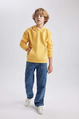 DeFacto Erkek Çocuk Regular Fit Kapüşonlu Sweatshirt