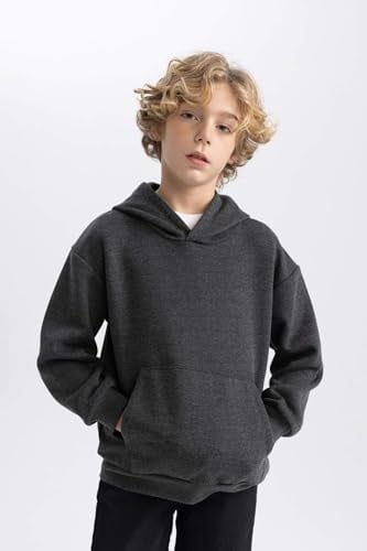 DeFacto Erkek Çocuk Regular Fit Kapüşonlu Sweatshirt