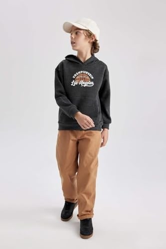 DeFacto Erkek Çocuk Regular Fit Kapüşonlu Sweatshirt