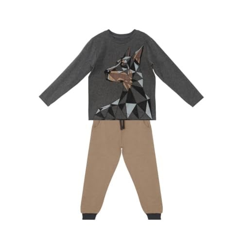 Doberman Erkek Çocuk T-shirt Pantolon Takım