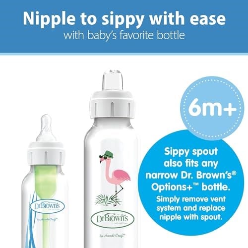 Dr. Browns 8 oz/250 ml PP Dar Ağız + Sippy Biberon Bardak, Flamingo, Tekli Paket