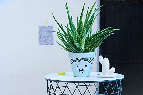 Edding 750 hobi sanat kalemi, beyaz