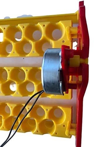 EFE KULUÇKA MAKİNELERİ 66 Bıldırcın Yumurtası Viyolü