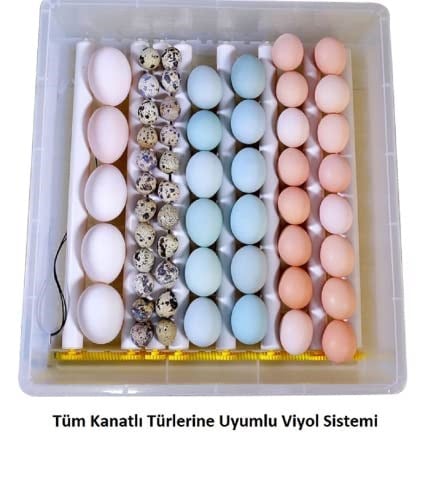 EFE KULUÇKA MAKİNELERİ Kaz Yumurtası Uyumlu Kuluçka Makinesi