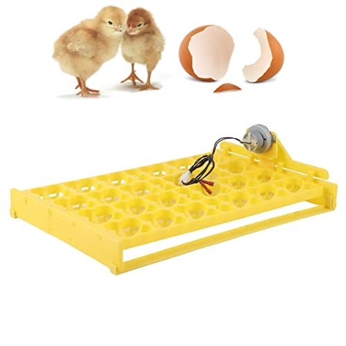 Egg Inkubation Yumurta Tepsisi, Otomatik Döner Yumurta İnkubatör Tepsisi, Dört Yapraklı, Yumurta İncubator için (#2)