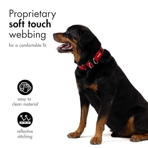 Ezydog Collar Double Up Medium Köpek Boyun Tasması Kırmızı