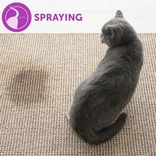 FELIWAY Classic 30 günlük feromon buharlaştırıcı başlangıç seti, 48 ml – kedi ve yavru kedilerde stres belirtilerini azaltmaya yardımcı olur, veterinerler tarafından tavsiye edilir, klinik olarak test