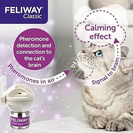 FELIWAY Classic başlangıç seti