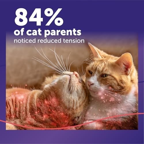 FELIWAY MultiCat Sakinleştirici Feromon Difüzör, 30 Günlük Başlangıç Kiti (48 mL)