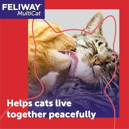 FELIWAY MultiCat Sakinleştirici Feromon Difüzör, 30 Günlük Başlangıç Kiti (48 mL)