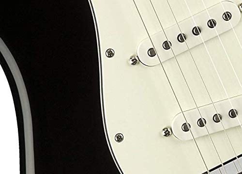 Fender Pickguard Mounting Screws Chrome Pickguard Vidaları (24 Adet)