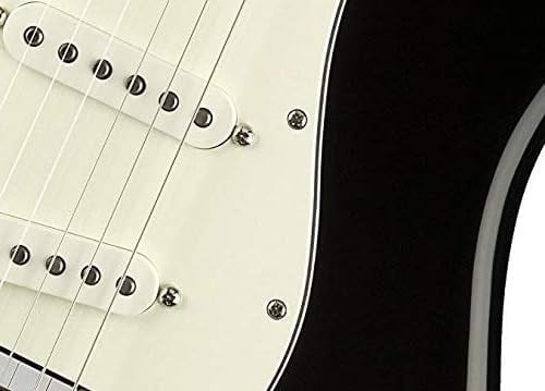 Fender Pickguard Mounting Screws Chrome Pickguard Vidaları (24 Adet)